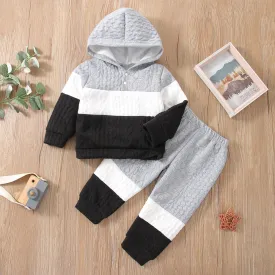 2-piece Toddler Girl/Boy Colorblock Hoodie Sweatshirt and Pants Set