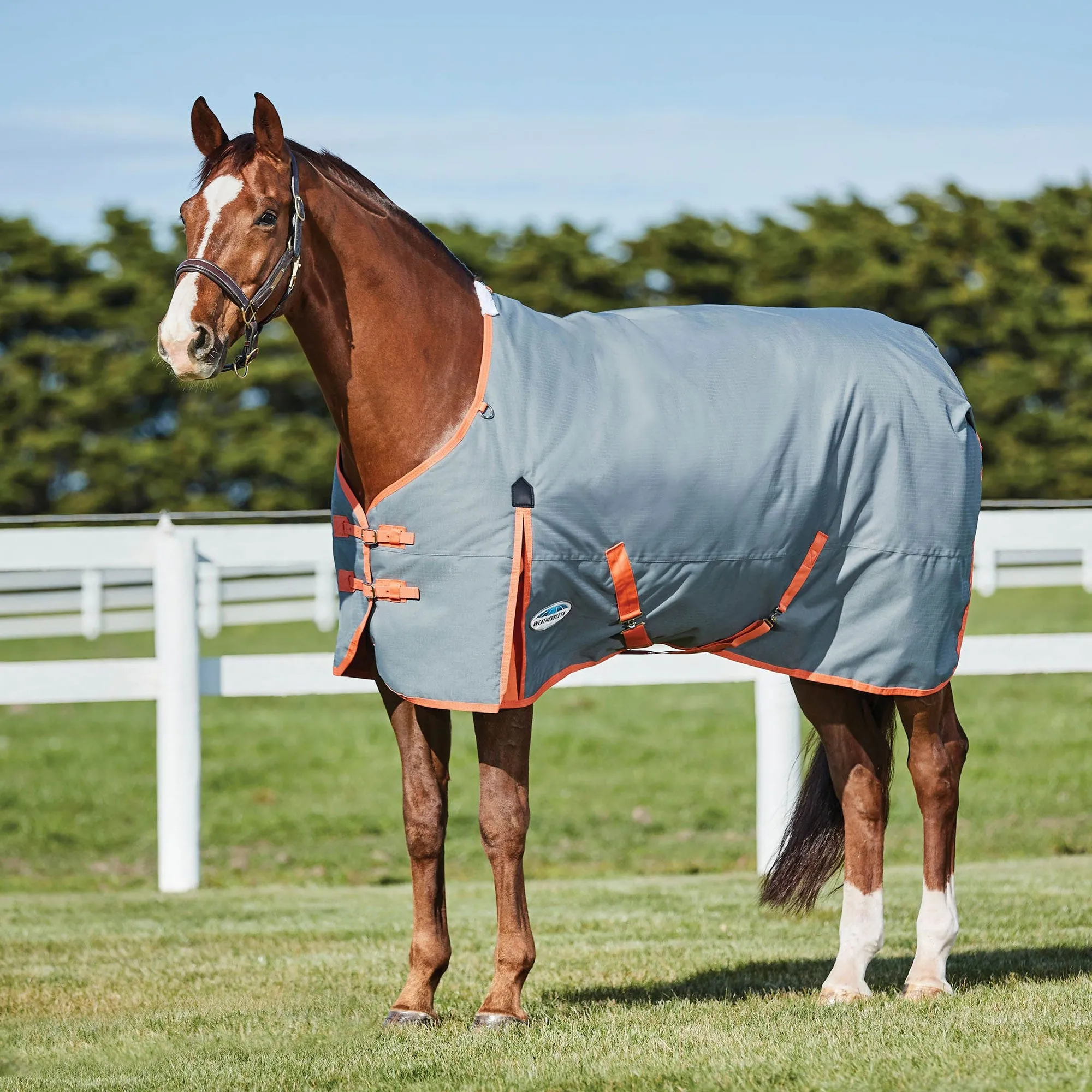 Weatherbeeta Comfitec Classic Standard Neck Medium/Lite Turnout Rug