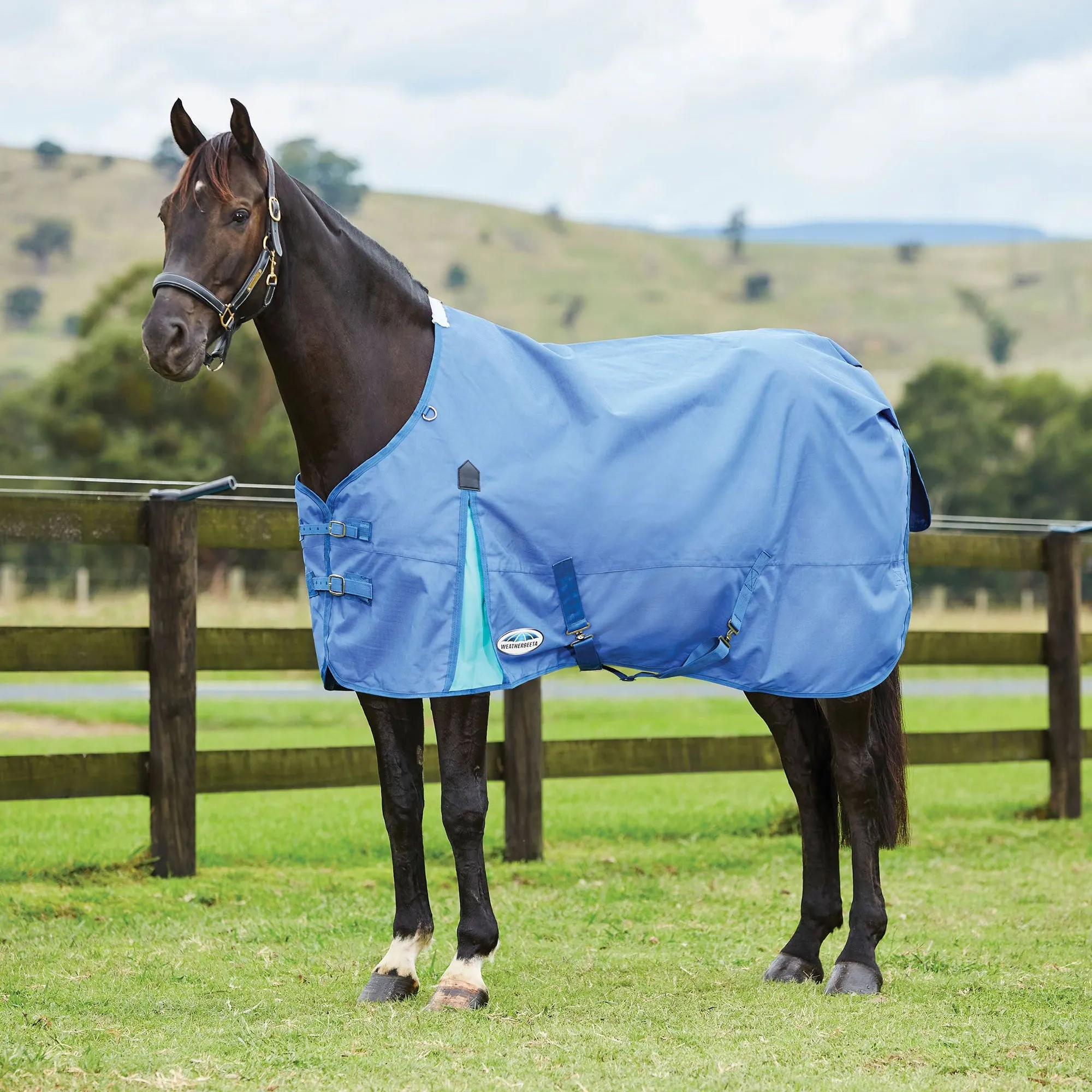 Weatherbeeta Comfitec Classic Standard Neck Medium/Lite Turnout Rug