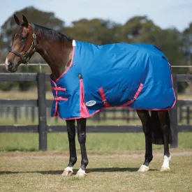 Weatherbeeta Comfitec Classic Standard Neck Medium/Lite Turnout Rug